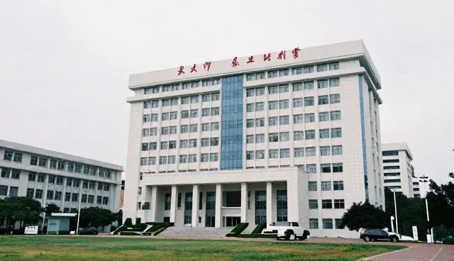 技术转让在云服务平台中的实际应用与挑战